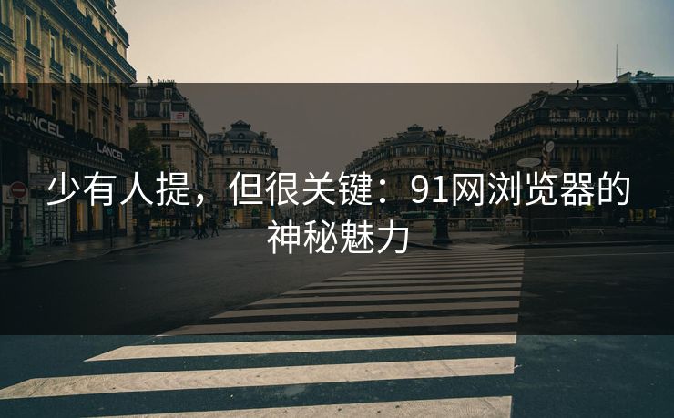 少有人提，但很关键：91网浏览器的神秘魅力